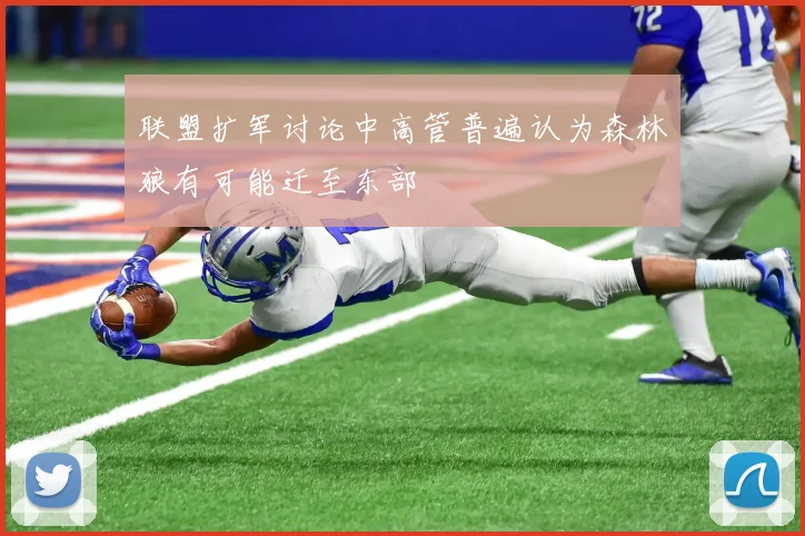 联盟扩军讨论中高管普遍认为森林狼有可能迁至东部