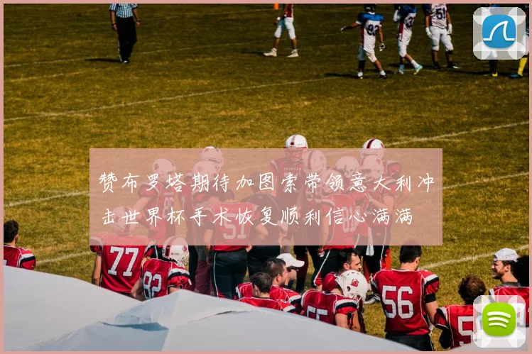 赞布罗塔期待加图索带领意大利冲击世界杯手术恢复顺利信心满满