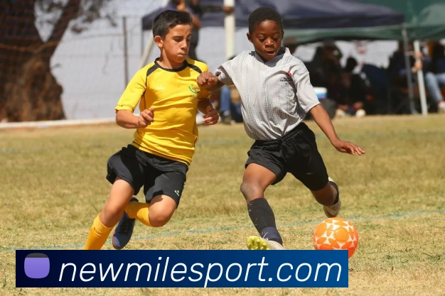 米乐足球发展历程